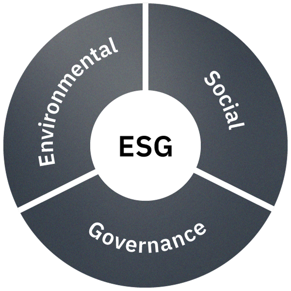 Public Markets individuelle Vermögensverwaltung ESG Grafik